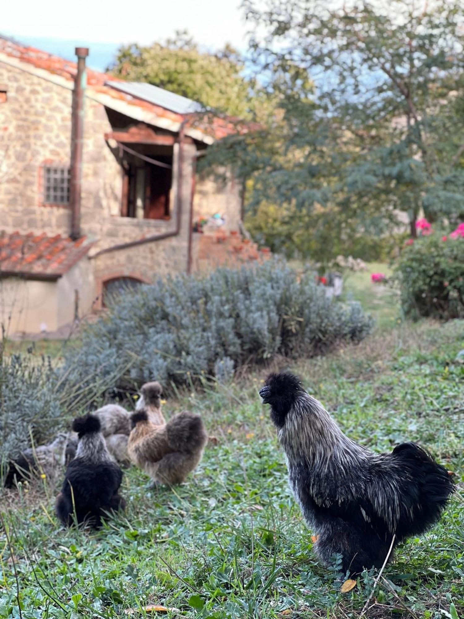 Podere Legnotorto Bed & Breakfast 3*