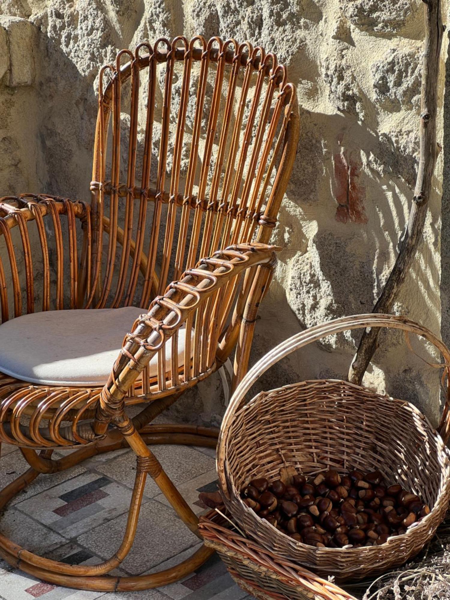 Podere Legnotorto Castel del Piano (Tuscany)